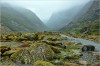 Mossy Rocks Everywhere